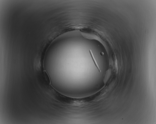 X0000089950508200706291214