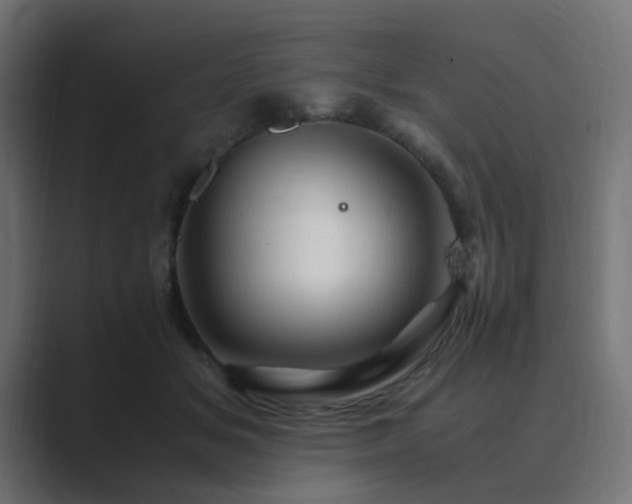 X0000089950509200706291214