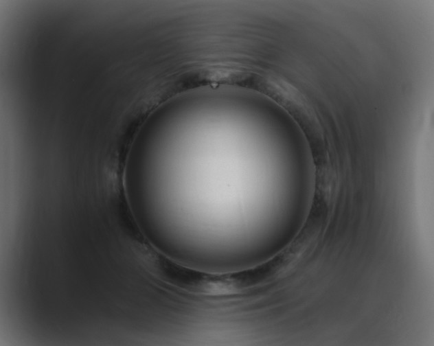 X0000089950510200706291214