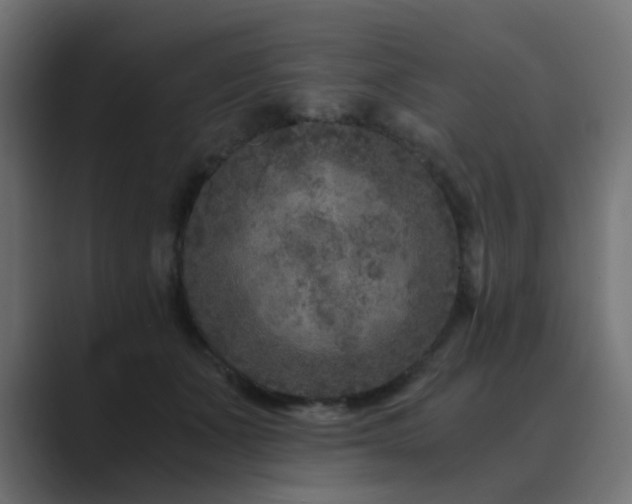 X0000089950511200706291214