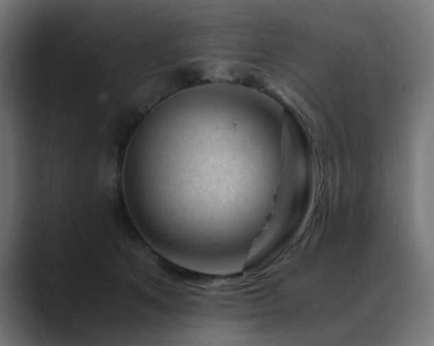 X0000089950513200706291214
