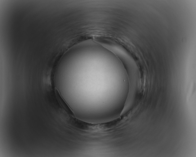 X0000089950516200706291214
