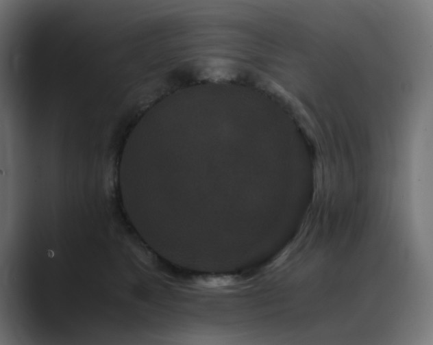 X0000089950517200706291214