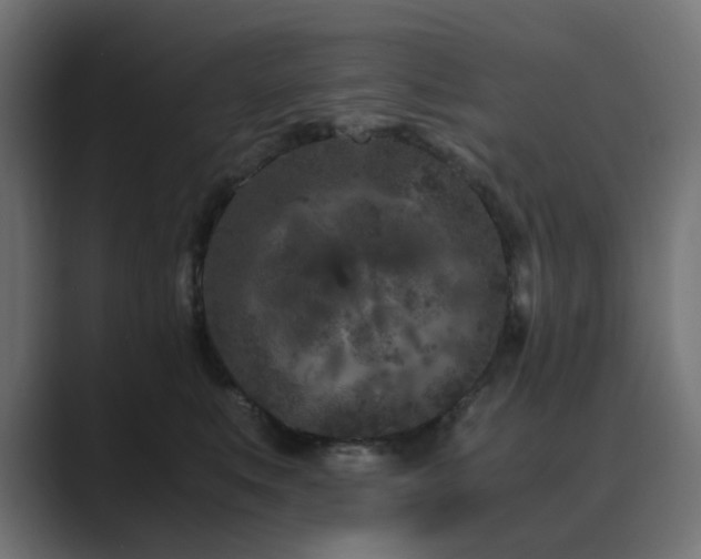 X0000089950519200706291214