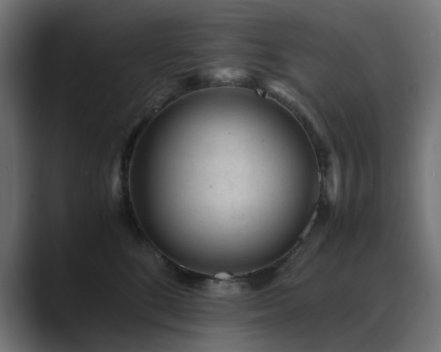 X0000089950520200706291214