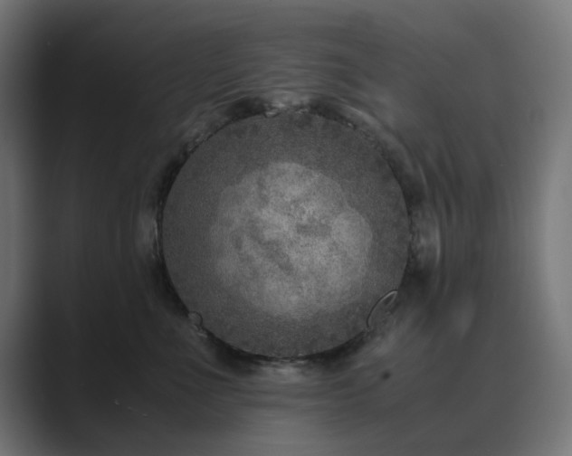 X0000089950523200706291214