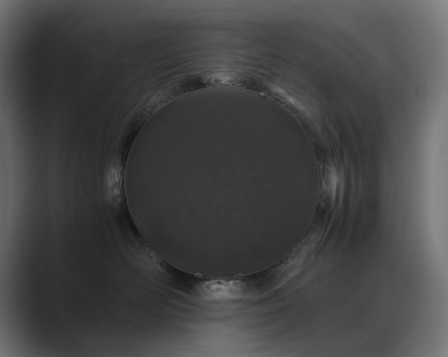 X0000089950526200706291214