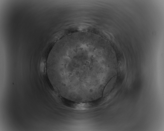X0000089950527200706291214