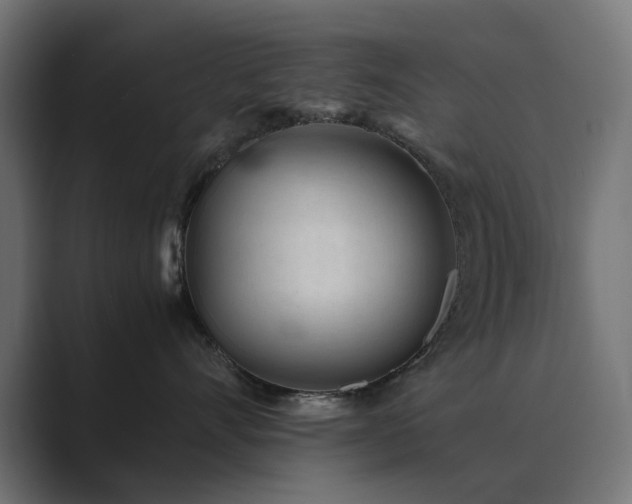 X0000089950528200706291214