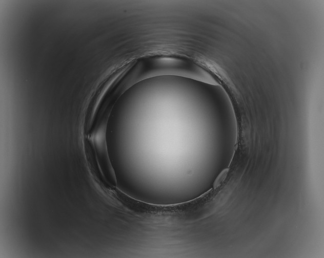 X0000089950530200706291213