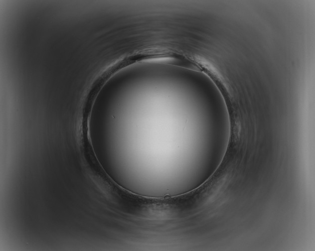 X0000089950535200706291213