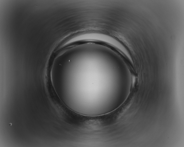 X0000089950536200706291213