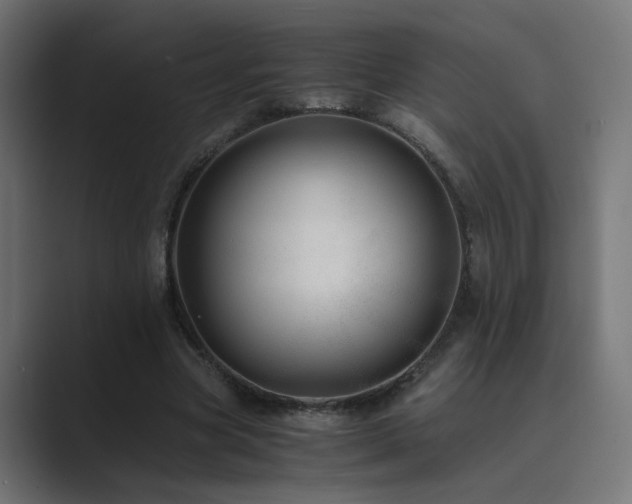 X0000089950537200706291213