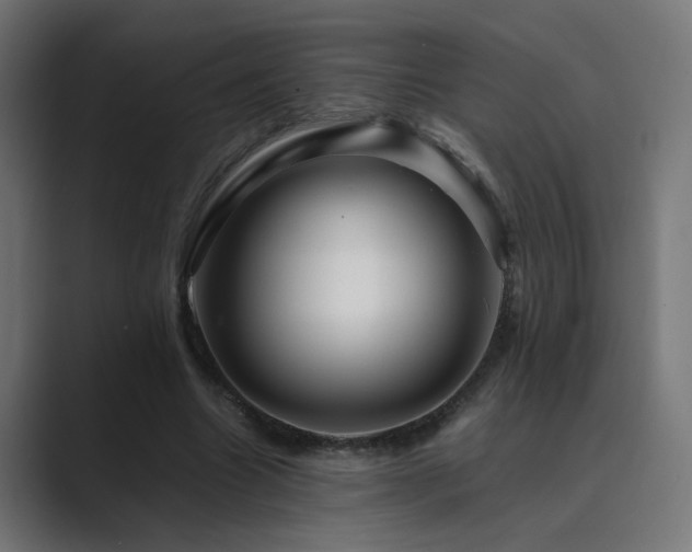 X0000089950538200706291213