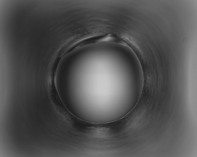 X0000089950539200706291213