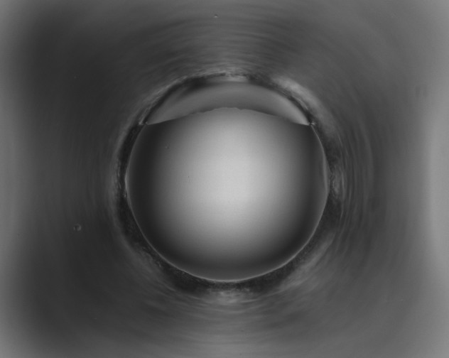 X0000089950540200706291213