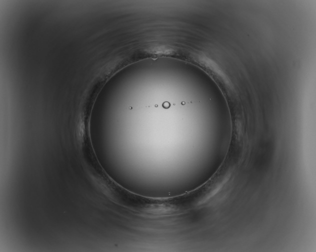 X0000089950541200706291213