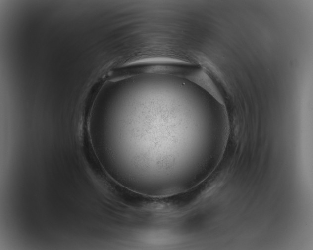 X0000089950542200706291213