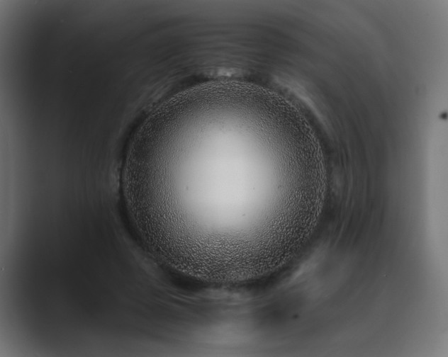 X0000089950545200706291213
