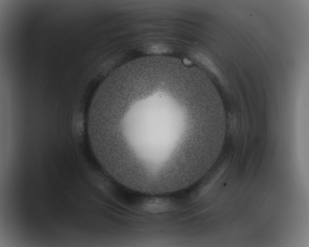 X0000089950549200706291213