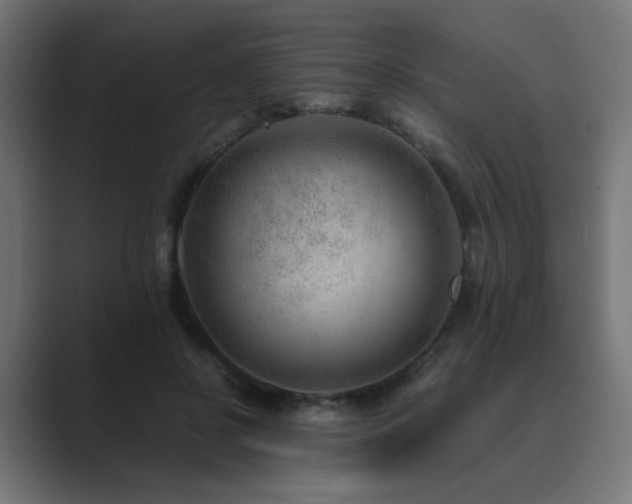 X0000089950550200706291213