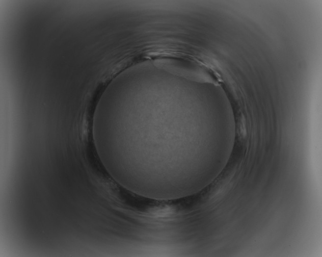 X0000089950551200706291213