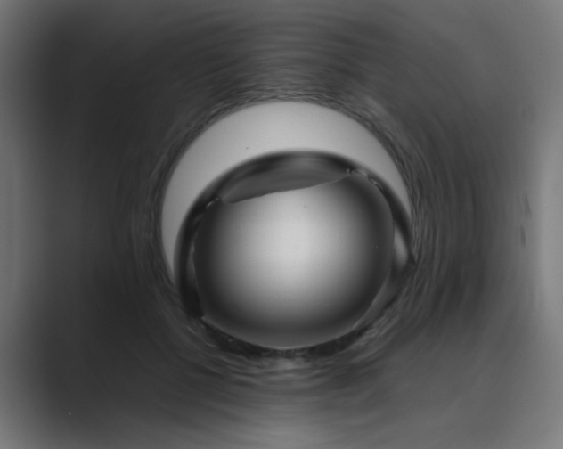 X0000089950552200706291213