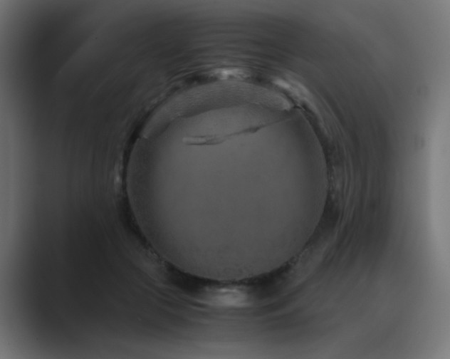X0000089950553200706291213