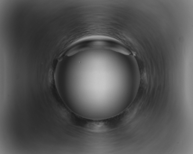 X0000089950554200706291213