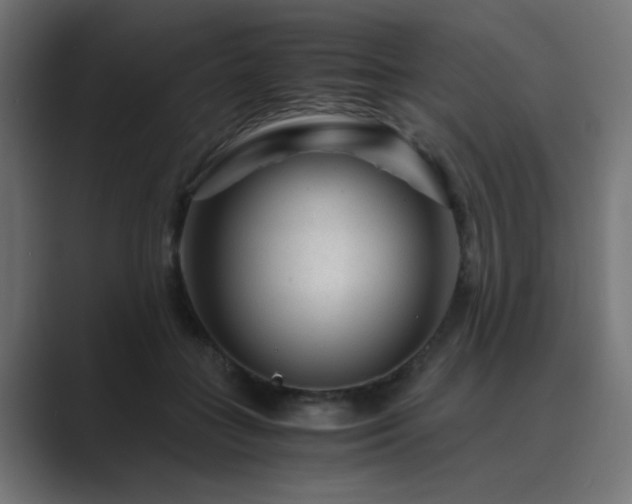 X0000089950555200706291213