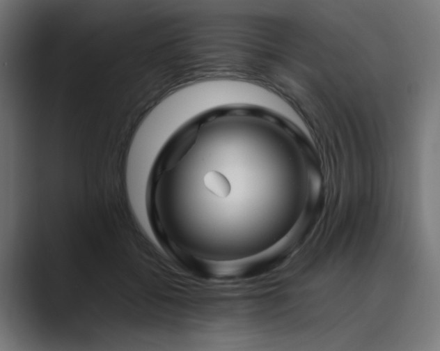 X0000089950556200706291213