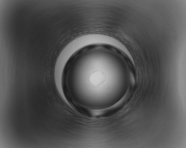 X0000089950558200706291213