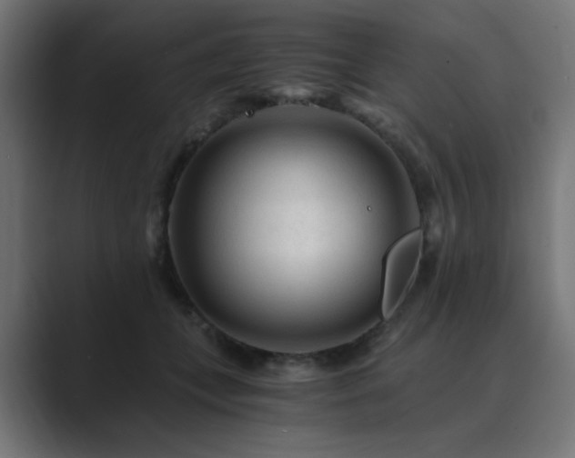 X0000089950559200706291213