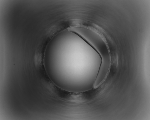 X0000089950560200706291213