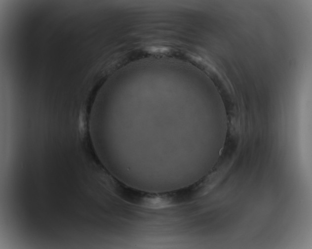 X0000089950561200706291213