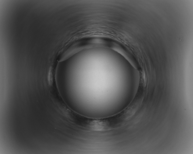 X0000089950562200706291213