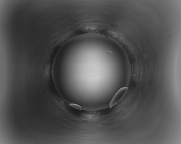 X0000089950563200706291213