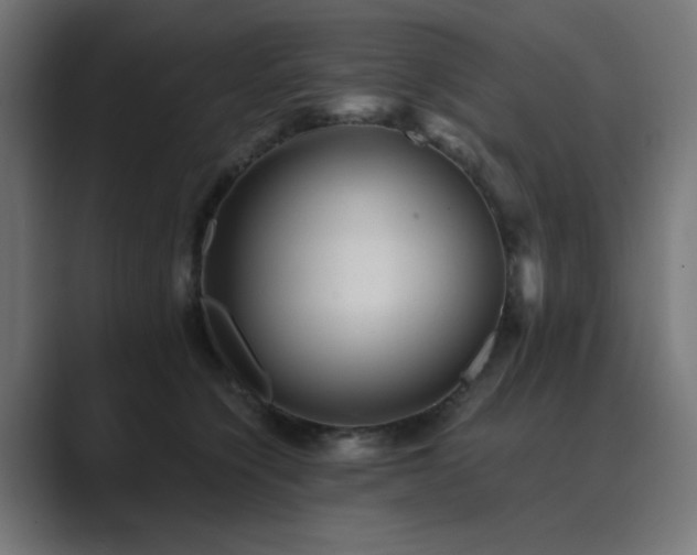 X0000089950564200706291213