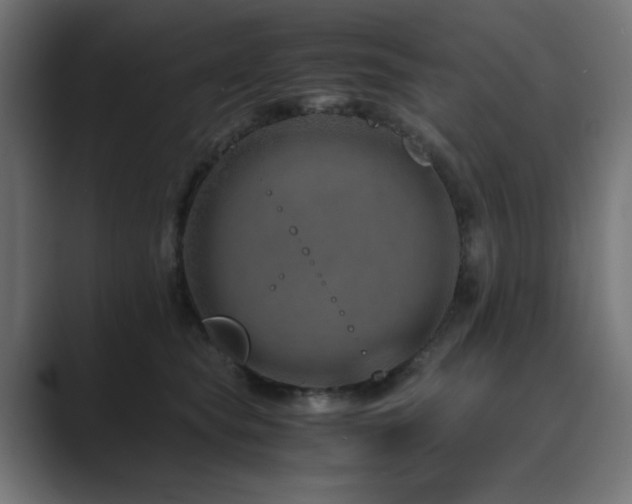 X0000089950565200706291213