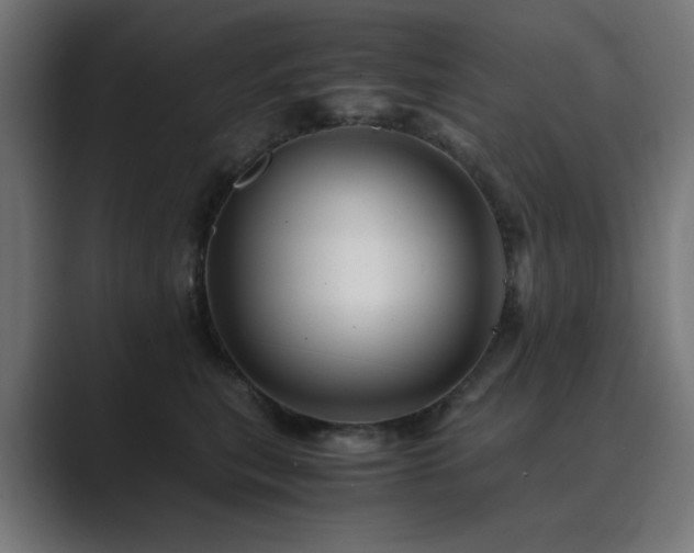 X0000089950567200706291214
