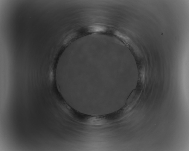 X0000089950568200706291214