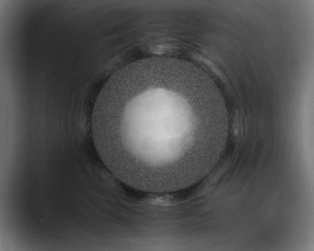 X0000089950569200706291214