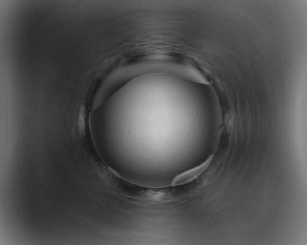 X0000089950570200706291214