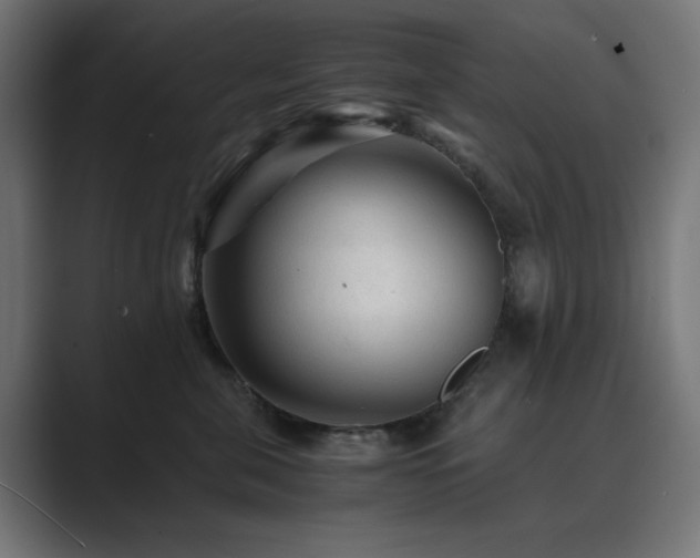 X0000089950571200706291214