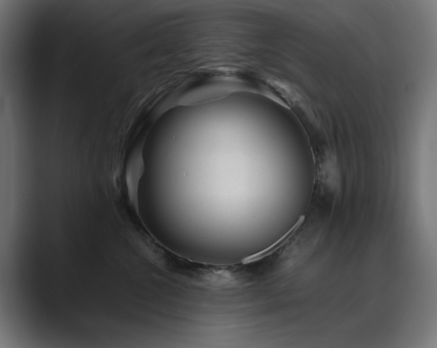 X0000089950572200706291214