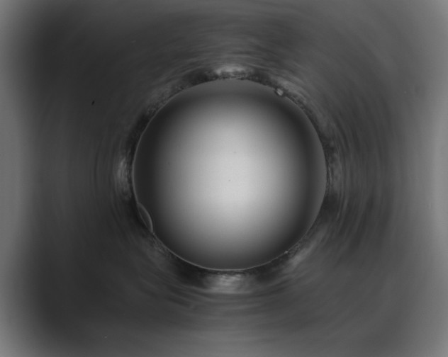 X0000089950575200706291214