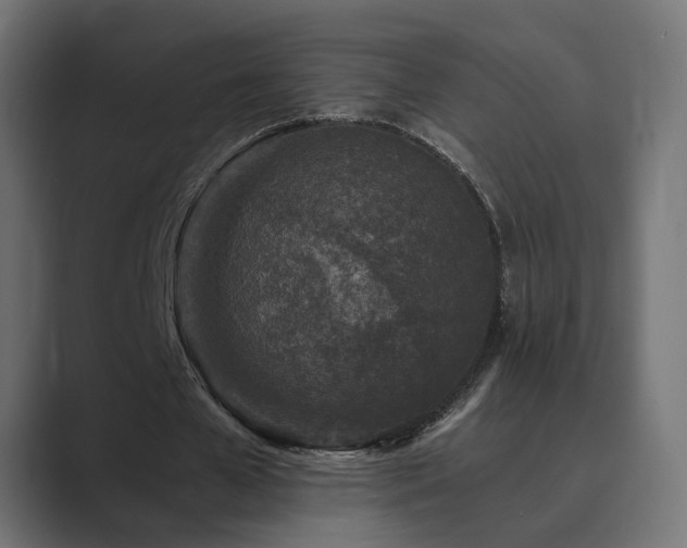 X0000089950577200706291213