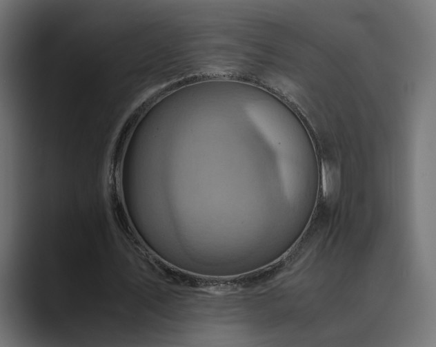X0000089950579200706291213