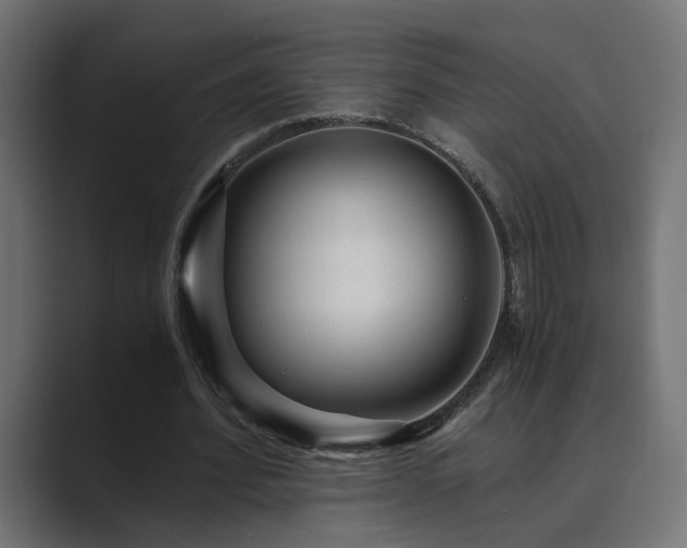 X0000089950580200706291213