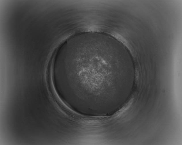 X0000089950581200706291213